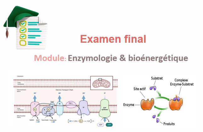 Examen 2023
